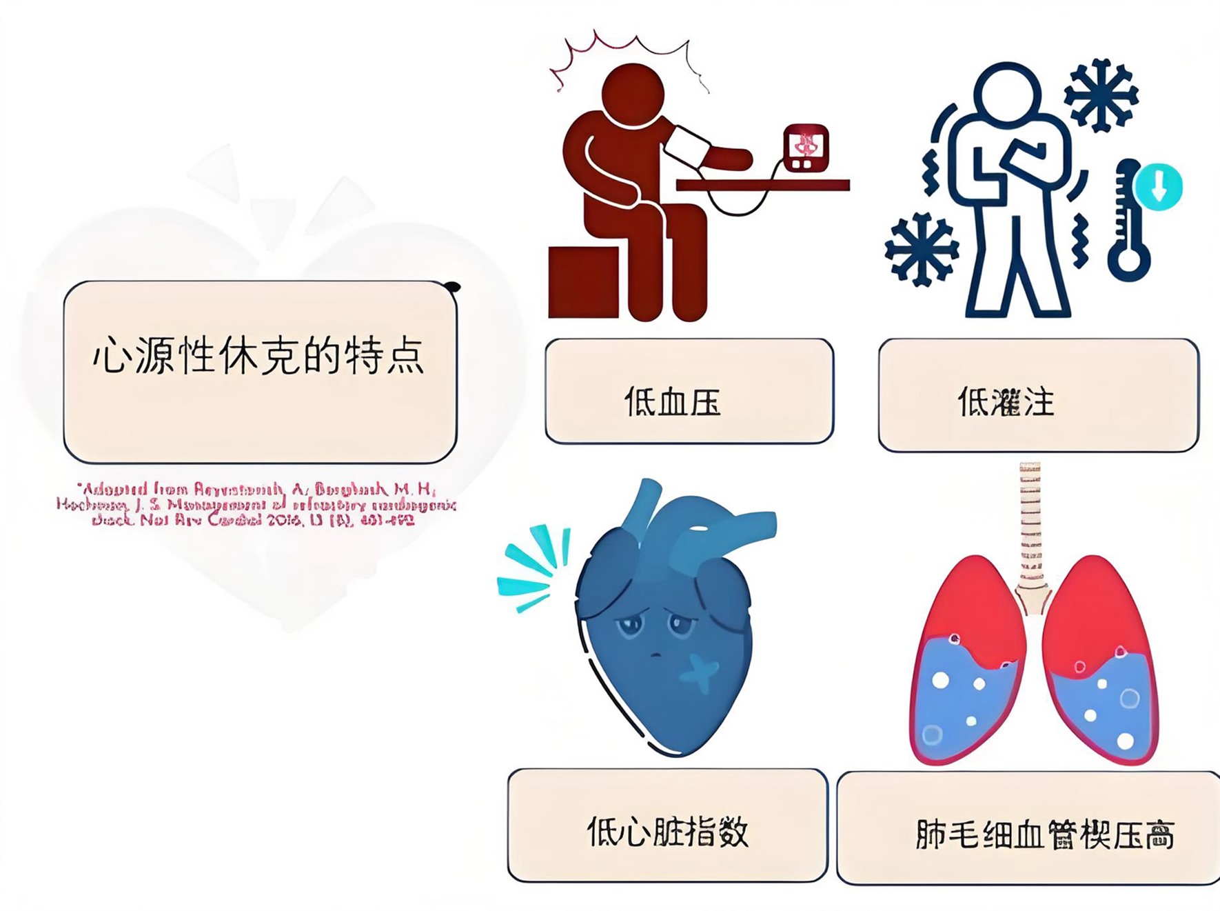 心肌病致心源性休克综合治疗方案